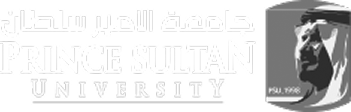Prince Sultan University
